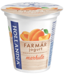 Jogurt krémový marhuľa 125g HOLLANDIA